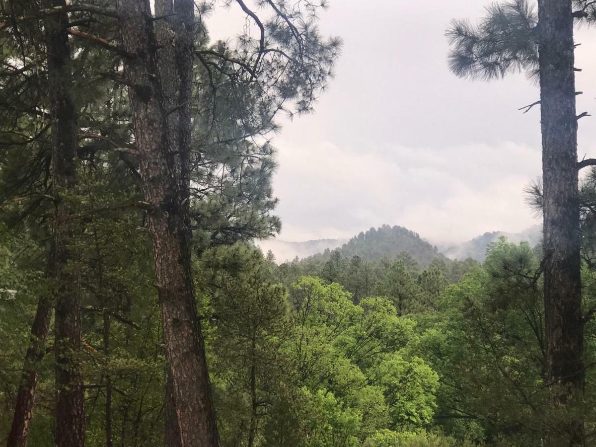 Gonzales Cozy Little Bear Cabin Ruidoso Zewnętrze zdjęcie