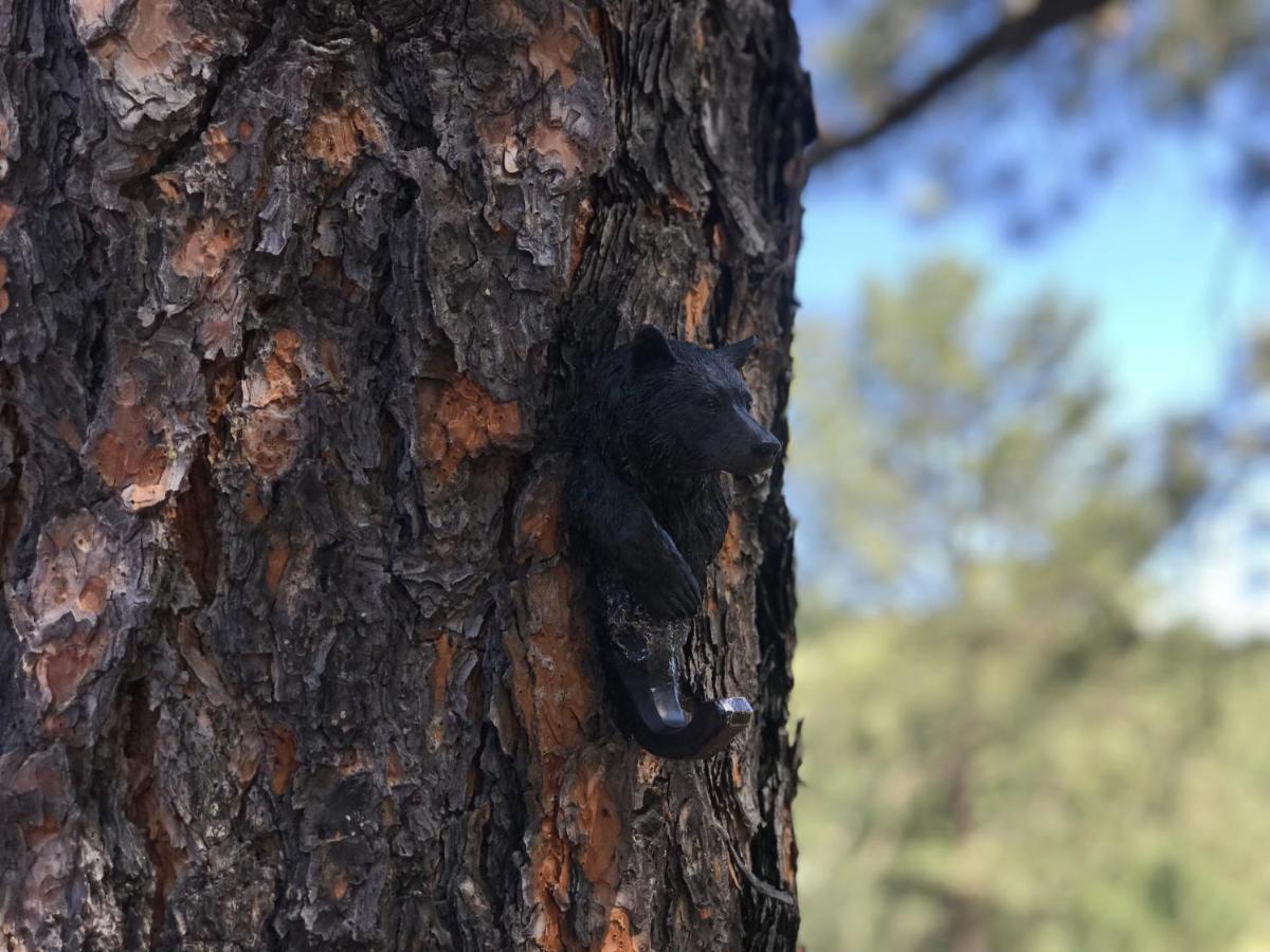 Gonzales Cozy Little Bear Cabin Ruidoso Zewnętrze zdjęcie